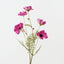 Cosmos Spray (Set of 12)