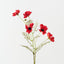 Cosmos Spray (Set of 12)