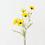 Cosmos Spray (Set of 12)