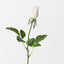 Everly Rosebud (Set of 24)