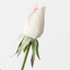 Everly Rosebud (Set of 24)