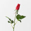 Everly Rosebud (Set of 24)