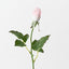 Everly Rosebud (Set of 24)