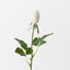 Everly Rosebud (Set of 24)