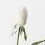 Everly Rosebud (Set of 24)