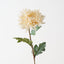 Chrysanthemum (Set of 12 )