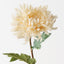 Chrysanthemum (Set of 12 )