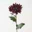 Chrysanthemum (Set of 12 )
