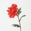 Chrysanthemum (Set of 12 )