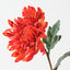 Chrysanthemum (Set of 12 )