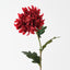 Chrysanthemum (Set of 12)