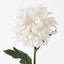 Chrysanthemum (Set of 12)