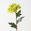 Chrysanthemum (Set of 12 )