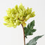 Chrysanthemum (Set of 12 )