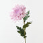 Chrysanthemum (Set of 12)