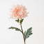 Chrysanthemum (Set of 12 )