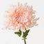 Chrysanthemum (Set of 12 )