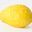 Lemon (Set of 12)