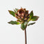 Artichoke Stem (Set of 12)