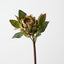 Artichoke Stem (Set of 12)