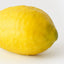 Lemon (Set of 12)