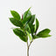 Rubber Leaf Spray (Set of 12 )