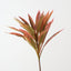 Cordyline Leaf Spray (Set of 6 )