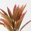 Cordyline Leaf Spray (Set of 6 )