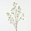 Sedum Spray (Set of 12)