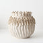 Velora Pot