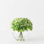 Hydrangea Mix in Vase