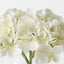 Hydrangea Mix in Vase