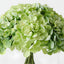 Hydrangea Mix in Vase