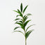 Lily Leaf Spray (Set of 12)