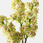 Lilac Spray (Set of 12)