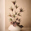 Caladium Plant (Set of 2)