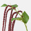 Amaranthus Spray (Set of 12)