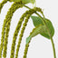 Amaranthus Spray (Set of 12)