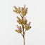 Lavender Spray (Set of 12)