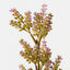 Lavender Spray (Set of 12)