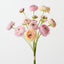 Ranunculus Bundle (Set of 6)