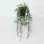 String of Beans (Set of 6 )