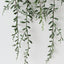 String of Beans (Set of 6 )
