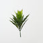 Cordyline Bush (Set of 12)