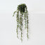 String of Pearls (Set of 4 )