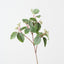 Virginia Creeper Leaf Spray (Set of 12)
