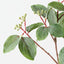 Virginia Creeper Leaf Spray (Set of 12)