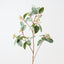 Virginia Creeper Leaf Spray (Set of 6)