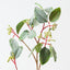 Virginia Creeper Leaf Spray (Set of 6)