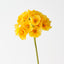 Primula Spray (Set of 12)